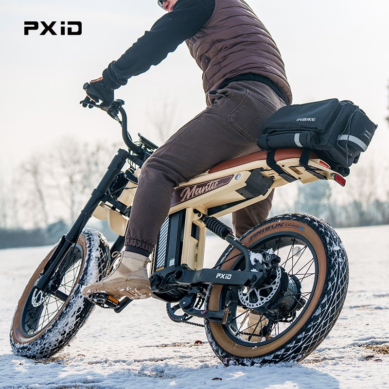 Wholesale PXID MANTIS P6 ev bike ODM OEM 1000w 48v 20ah 35ah long range electric city bike