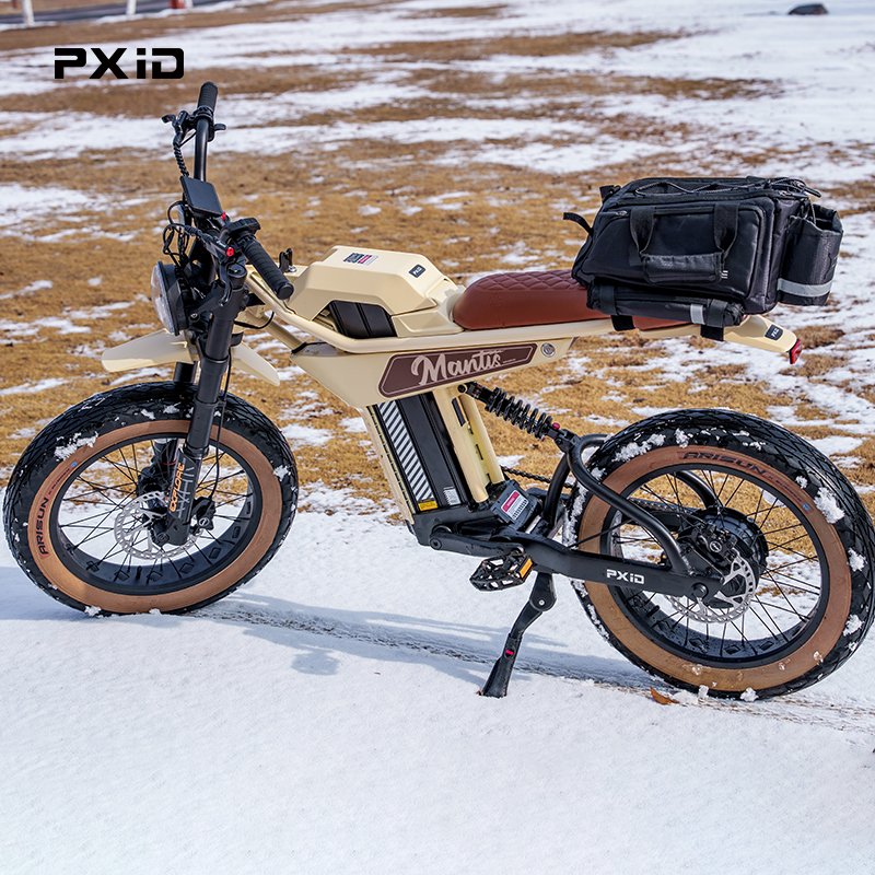 Wholesale PXID MANTIS P6 ev bike ODM OEM 1000w 48v 20ah 35ah long range electric city bike