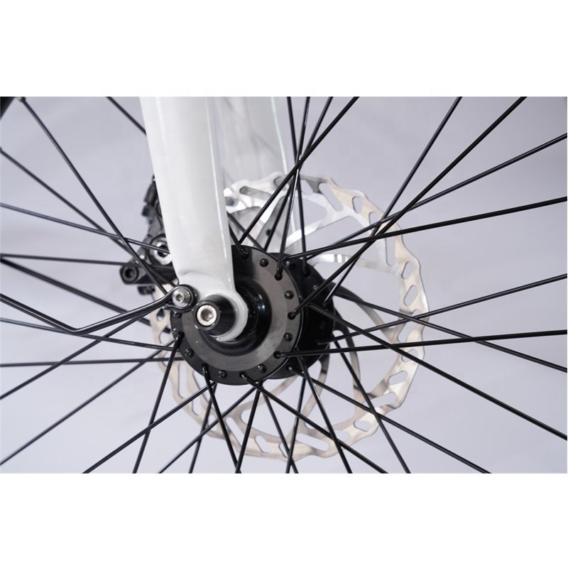 Hot Selling C20 Ebike City Electric Bike Bicycle Urban 20 inch 48V Portable Foldable for Sale