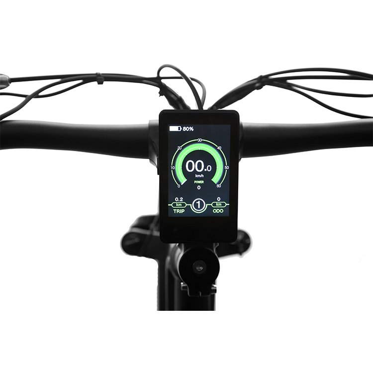 EU Factory Drop shipping 26 inch Road Mountain Fat Tire Electric Hybrid Bike With 48V/14AH L G Battery