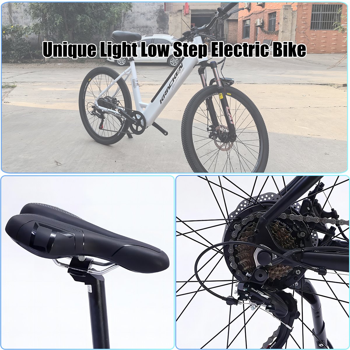350W 26 Inch CST Tire 36v Battery 35km Electric Bike Bicycle Vintage Retro Mountain Ebike