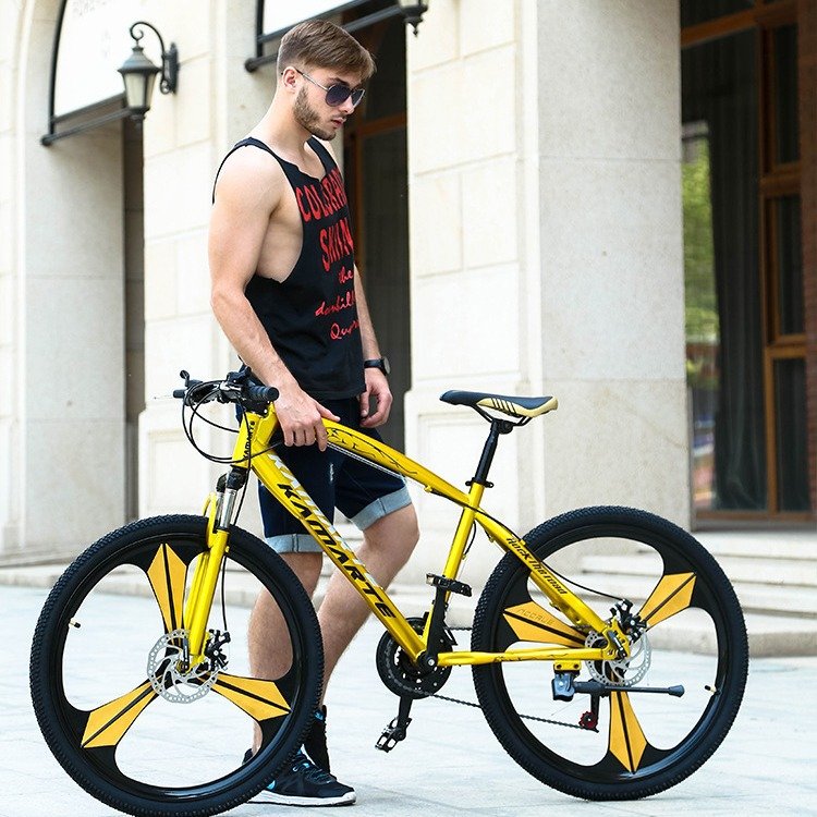 cheap chinese adult men steel 24 26 inch 21 24 27 speed MTB cycle mountain MTB Bicycle High Quality Cheap Price