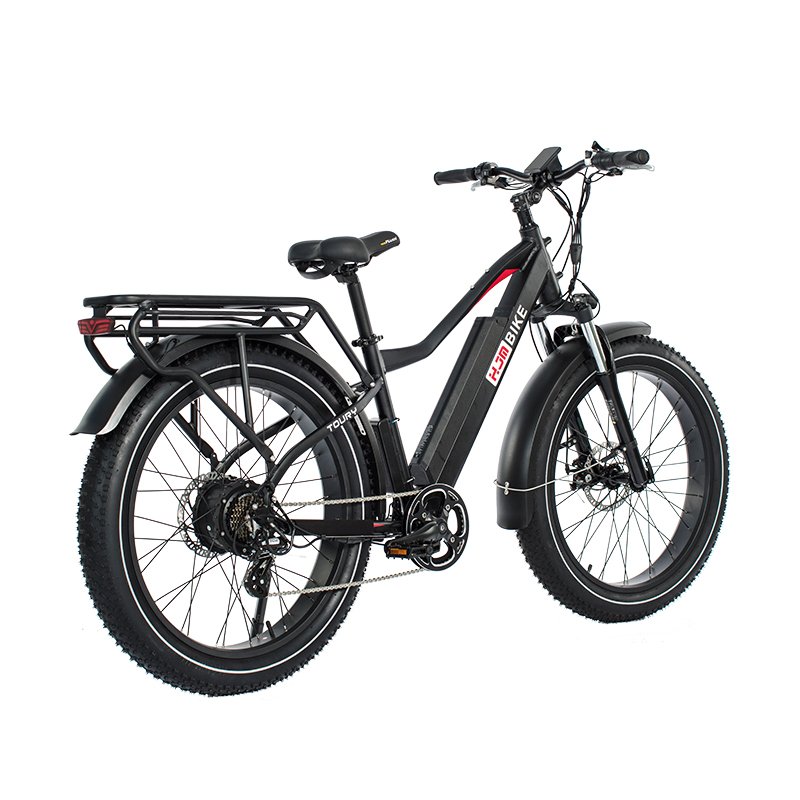 New High Quality Long Range Road Powerful City E Bike Electric Mountain Bike with 48V/14AH L G Battery