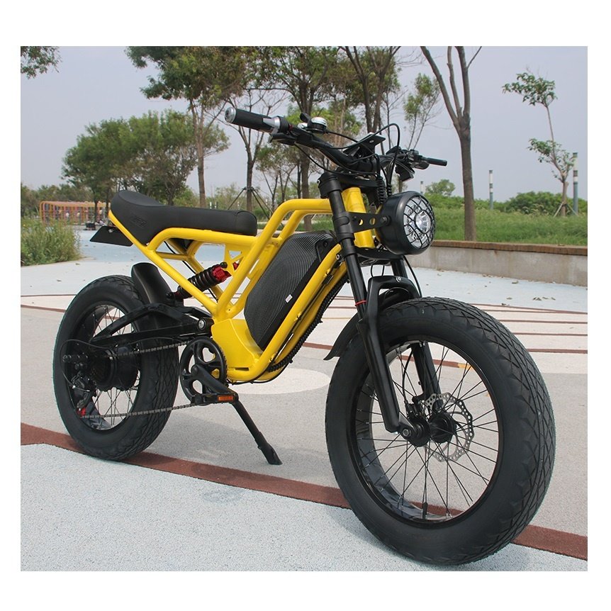 US Stock E Bike Akez 20" Mountain E-bike 750W/1000W Surron Retro Electric Fat Tire Dirt Bike Ebike Electric Bicycle For Adult