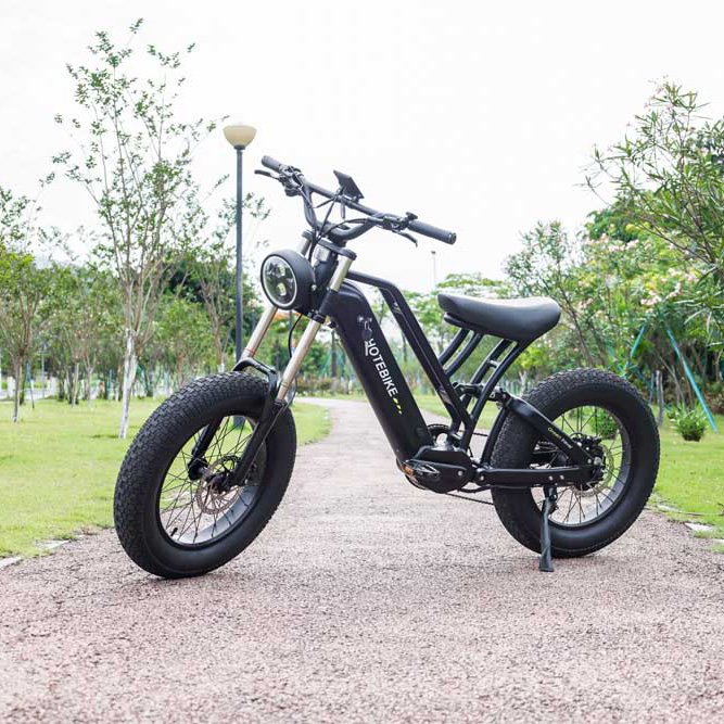 Stealth Bomber Electric Bike 48V Dirt Road Mountain Electric Fat Tire Bike 500w 750w 1000w bike electric bicycle