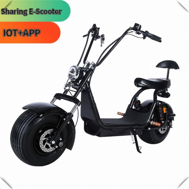 Double Braking System Sccoter Portable Folding Design 2 Wheel Holland Warehouse Sharing Electric Vehicle 250W/500W