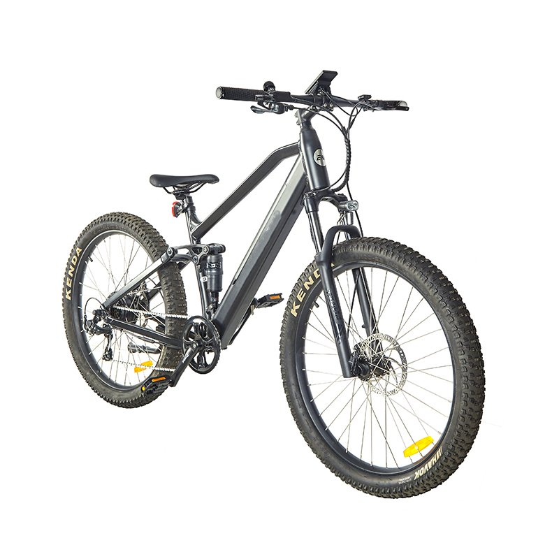 29 inch mountain 9 speed fat bike custom Middle Motor electric e bicycle bike