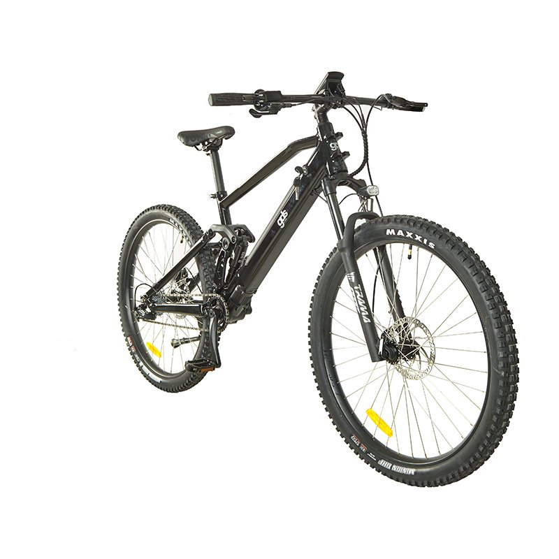 29 inch mountain 9 speed fat bike custom Middle Motor electric e bicycle bike