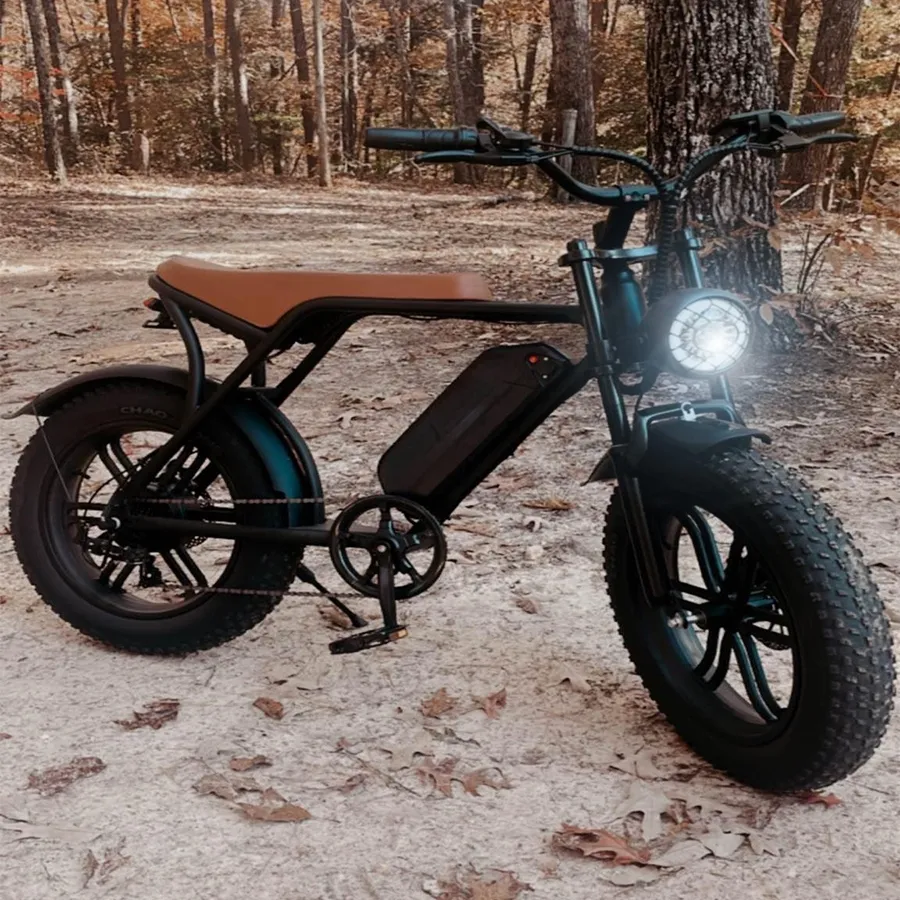 EU V8 Pro 24inch Fatbike EU NL DE PL Warehouse 48V 1000w Electric Fat Bike E-Bike EBike Electric Mountain Bike
