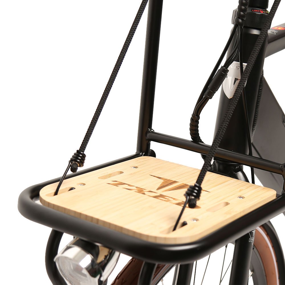 TXED 28 inch inner 3-speed electric cargo bicycle 250W rear hub motor electric city bike