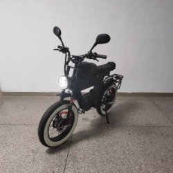 1000w 48v*2
