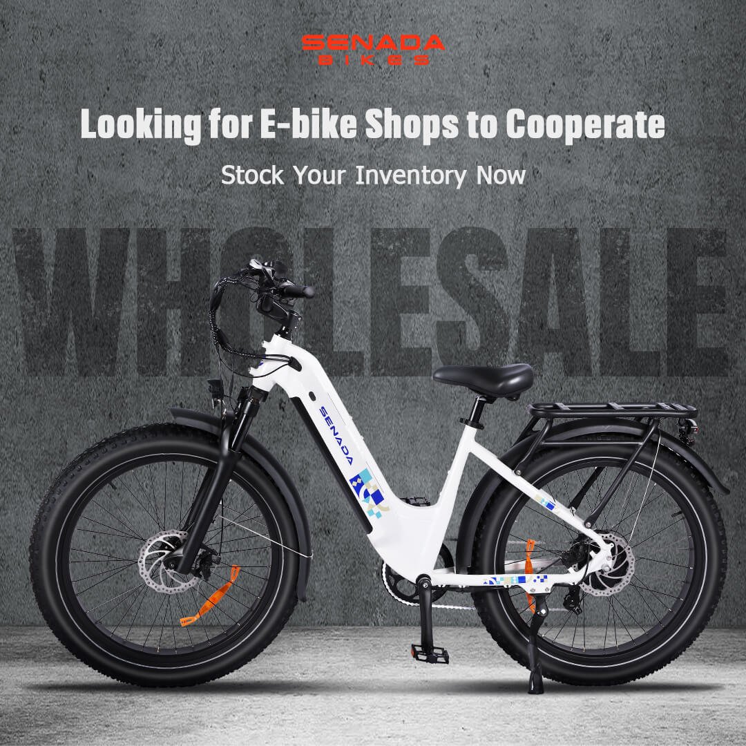 Senada Wholesale US Stock 750W 20Ah Fat Tire Electric City Bikes with throttle
