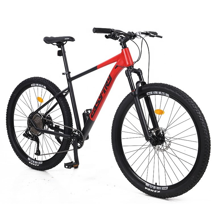 2024 odm oem popular mtb 10 speed cycle hydraulic disc brake 29 inch mountain bike