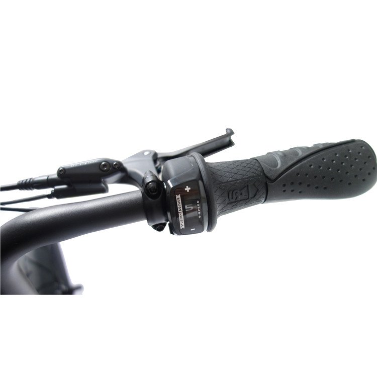 2024 Mario Bafang BBSHD Mid Motor Drive 1000w Electric Bike
