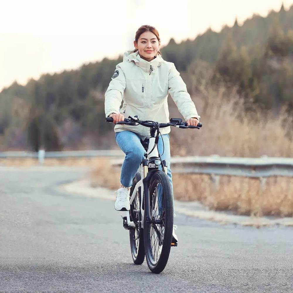 China Supplier Mtb Mountain Bicycle Wholesale Electric Bikes