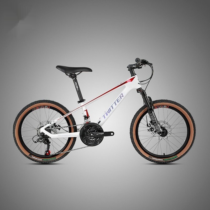 2024 Twitter Kid 20 Inch Kids Mountain Bike 21 Speed Children's Road Bicycle featuring Disc Aluminum Cheap Chinese Manufacturer