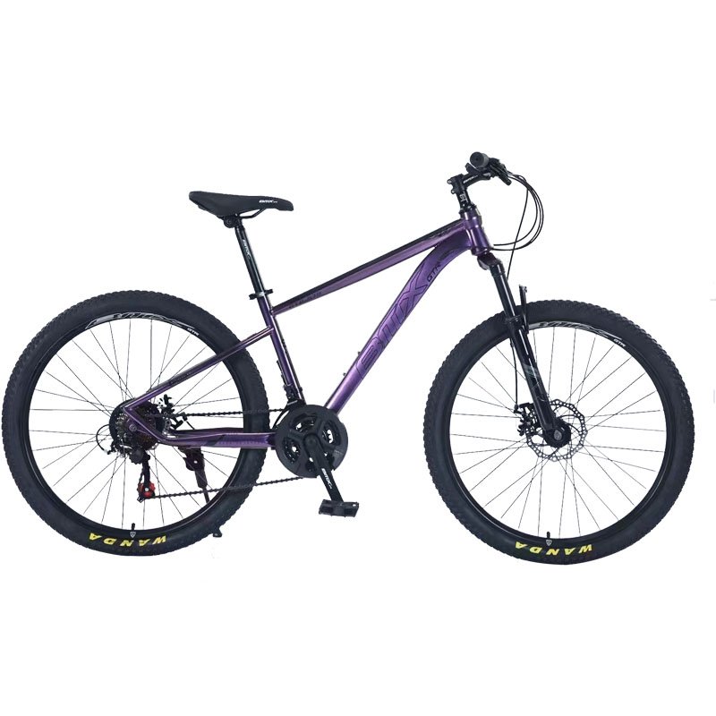 BMX-GTR wholesale 26 27.5 29 inch support mountainbike 21 speed carbon Mtb bicycle steel full suspension mountain bike
