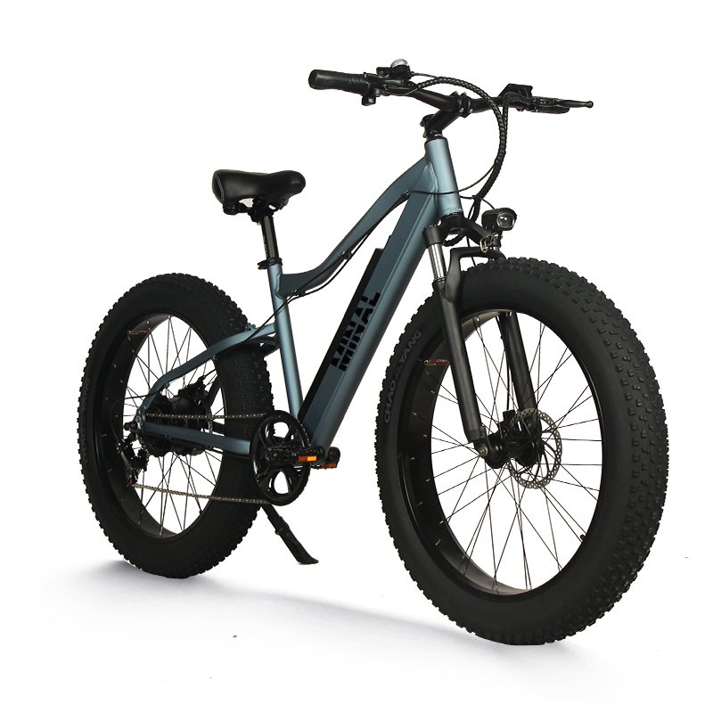 High Quality 350W 48V 10.5Ah Lithium Battery Electric Bike with Fat Tire Rear Hub Motor Aluminum Alloy Frame Disc Brake