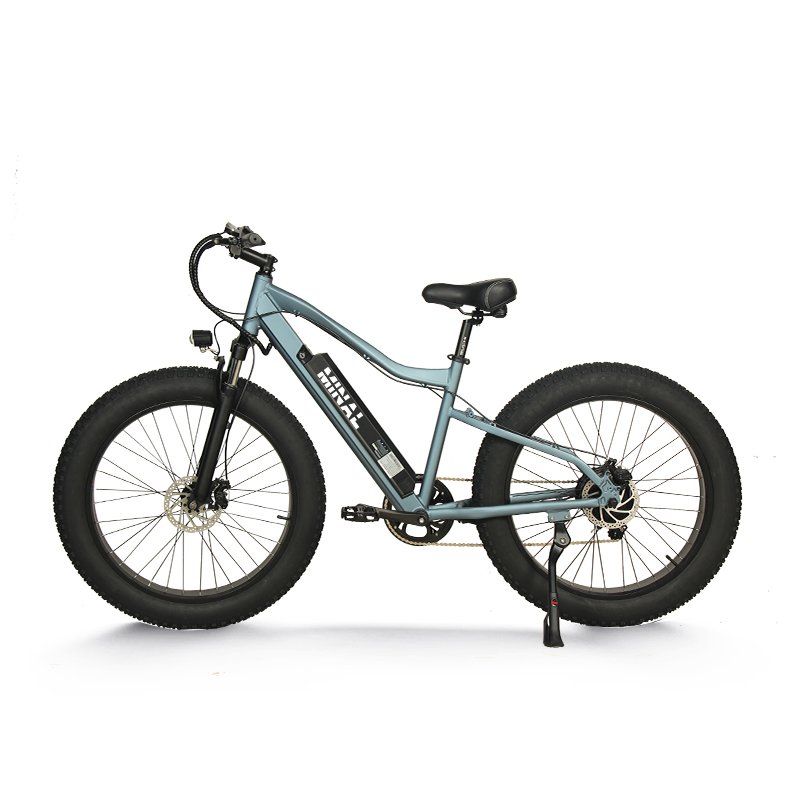 High Quality 350W 48V 10.5Ah Lithium Battery Electric Bike with Fat Tire Rear Hub Motor Aluminum Alloy Frame Disc Brake