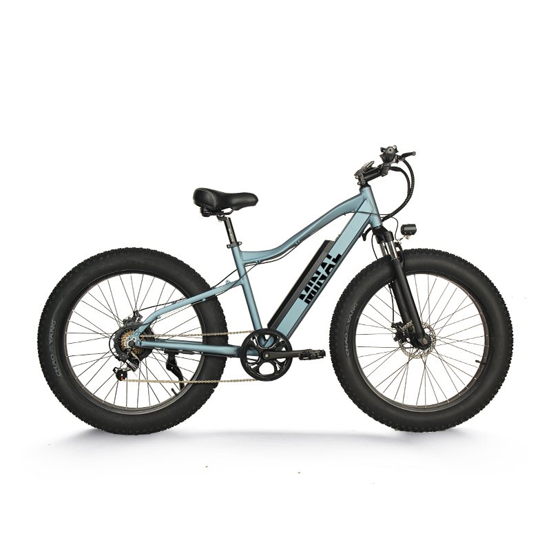 High Quality 350W 48V 10.5Ah Lithium Battery Electric Bike with Fat Tire Rear Hub Motor Aluminum Alloy Frame Disc Brake