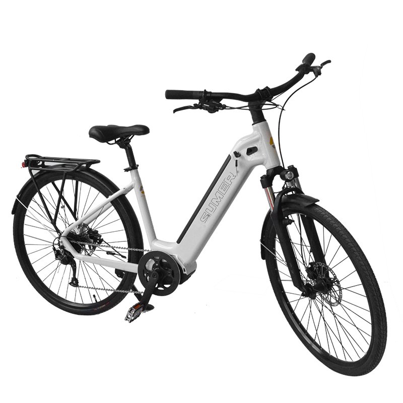 EC-120 Cheap Ebike E-bike Electric City Bike for Adult Electronic Lithium Battery 48V Rear Hub Motor Aluminum Alloy OEM Logo ZT