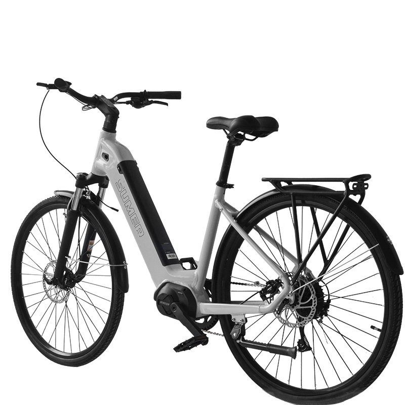 EC-120 Cheap Ebike E-bike Electric City Bike for Adult Electronic Lithium Battery 48V Rear Hub Motor Aluminum Alloy OEM Logo ZT