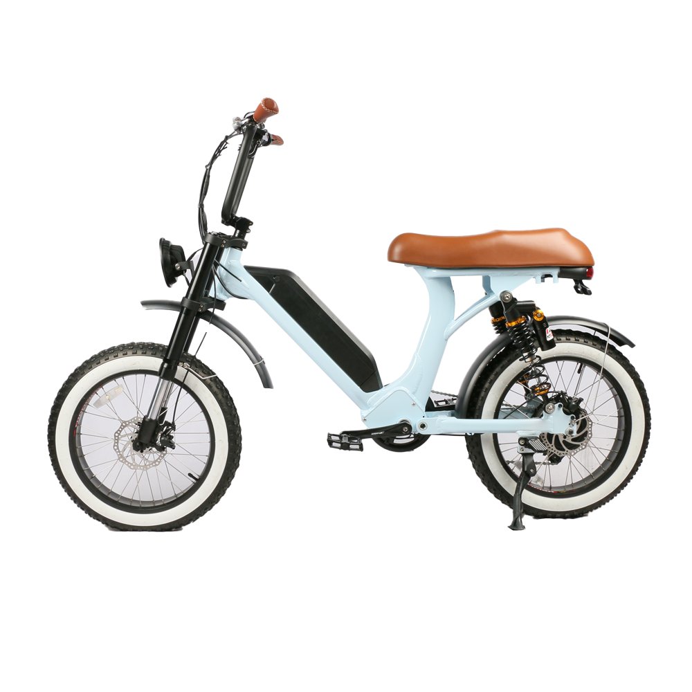 Retro Style E Scooters 500w Dual Motor Optional Motorcycles EEC Electric Bike Moped City Bike for Adults