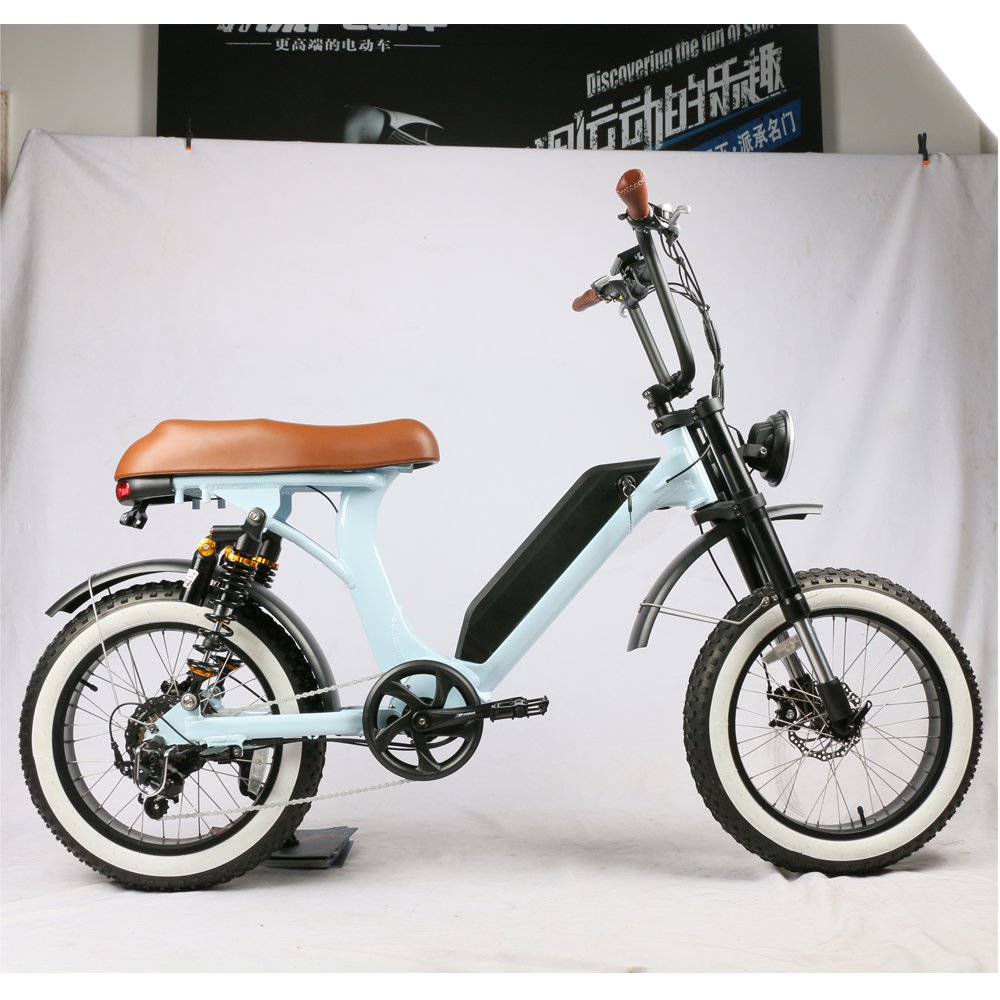Retro Style E Scooters 500w Dual Motor Optional Motorcycles EEC Electric Bike Moped City Bike for Adults
