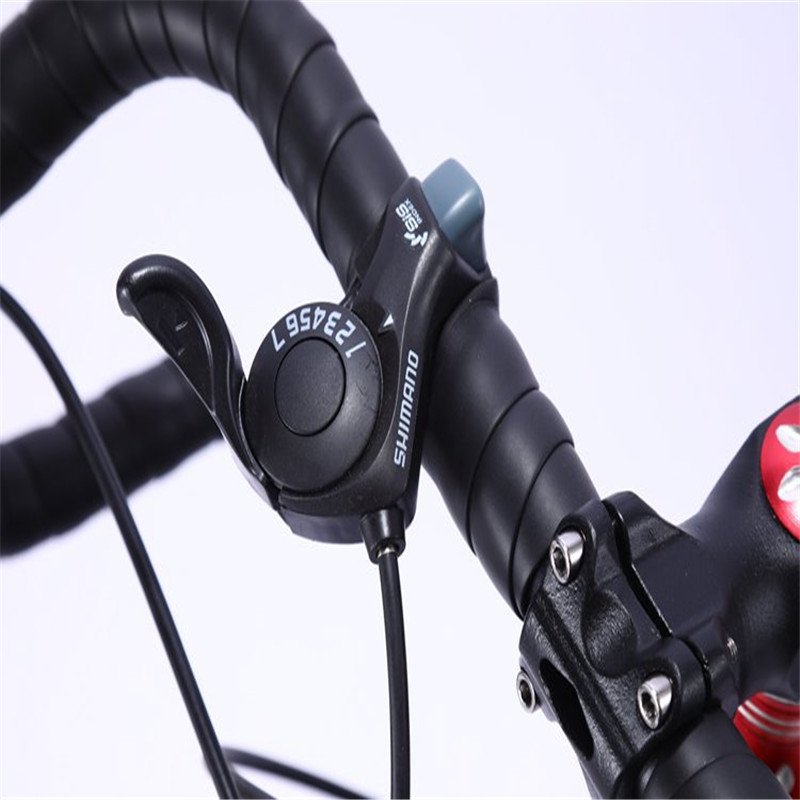 China Supplier On Sale Adult 21 Speed Steel Bicycle Mountain Bike