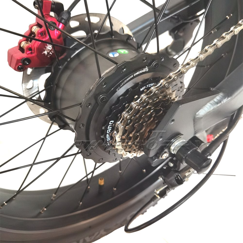 48v 1000W 2000W 55 km/h 35Ah 100km cheap electric mountain bike