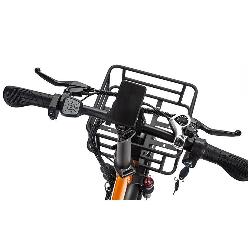 20-Inch Retro Electric City Bike with Rear Hub Motor 48V/15ah Lithium Battery Smart Electronic Cargo Bike Aluminum Alloy Frame