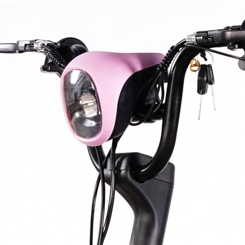 Lead Acid Battery Ebike Electric City Bike 48v 350w 12ah Light Weight Sports Electric City Bike