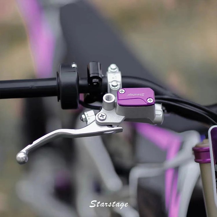 Starstage Electric Mountain Bike 5000W Titanium Frame Air-Cooled Motor 76V Battery 97Km/h Brushless Power