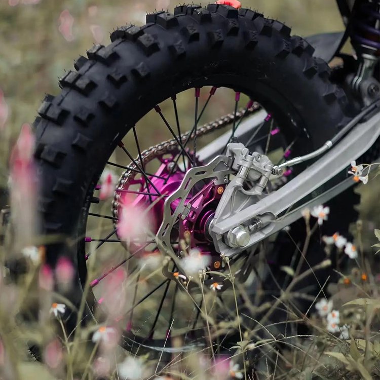 Starstage Electric Mountain Bike 5000W Titanium Frame Air-Cooled Motor 76V Battery 97Km/h Brushless Power