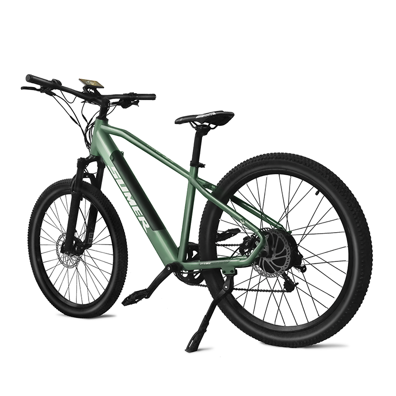 350W Electric Mountain Bike Full Suspension E-Bike Bicicleta Mountain Bike