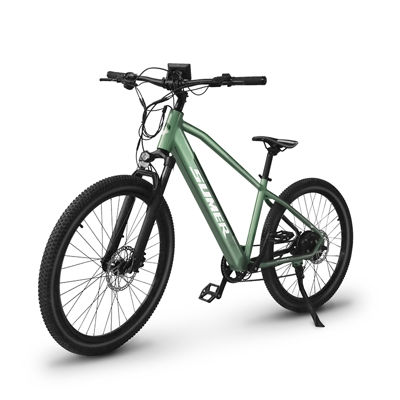 350W Electric Mountain Bike Full Suspension E-Bike Bicicleta Mountain Bike