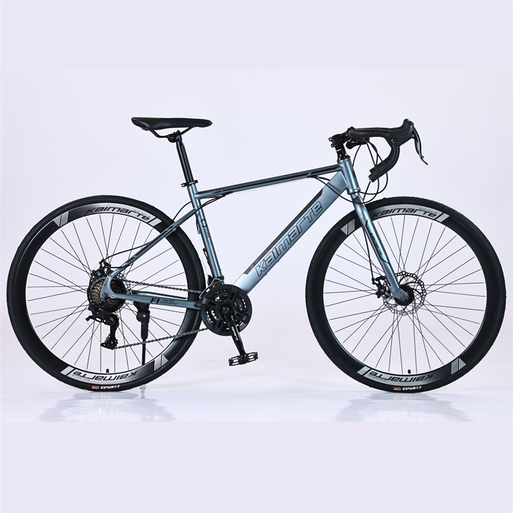 2024 China Factory Price Carbon Road Bike 21 Speed Disc Brake 700C Wheels Complete Road Racing Bicycle Men Cheap Ordinary
