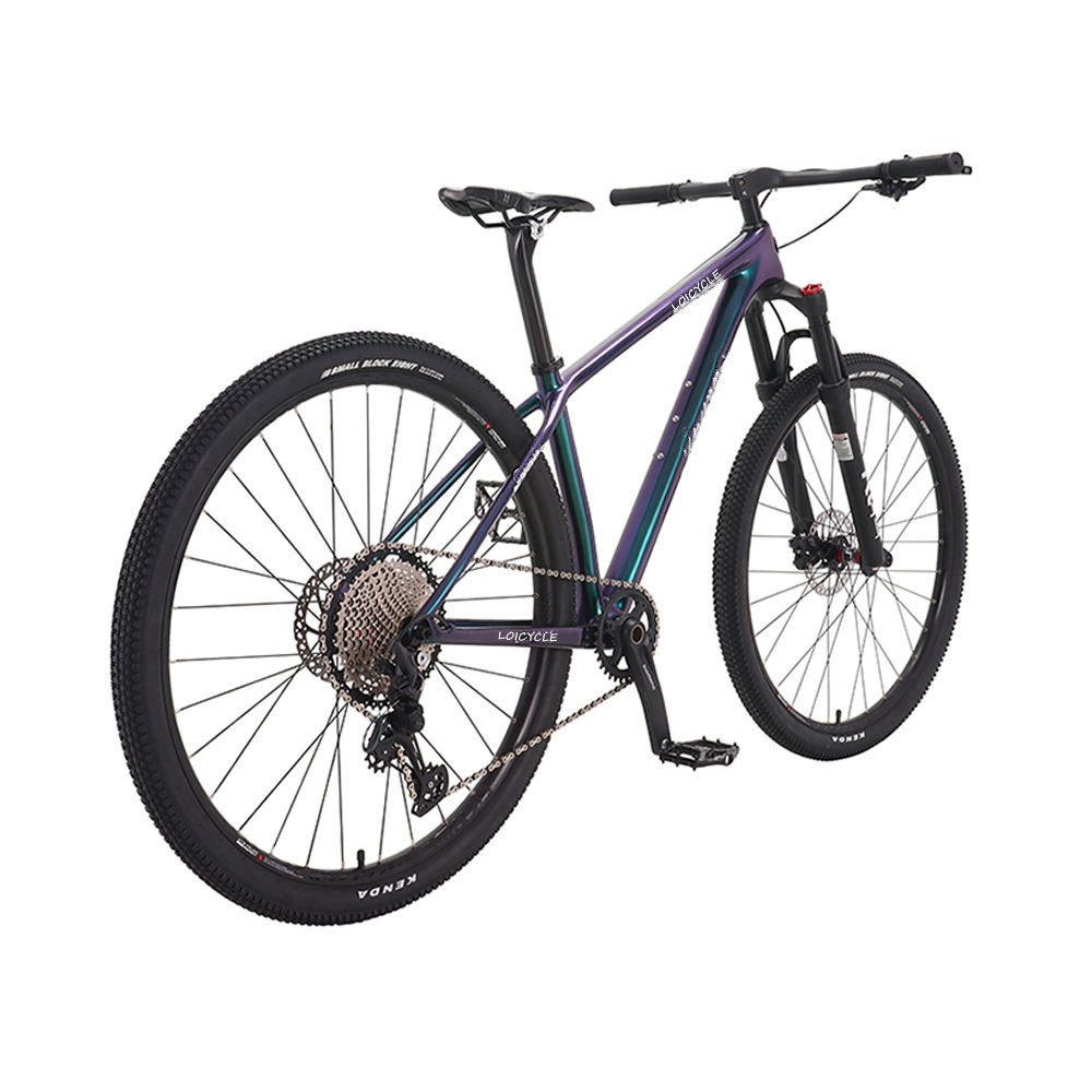 Mountain bicycle 29 inch Carbon fiber 12-speed wire-operated pneumatic front fork mountain bike