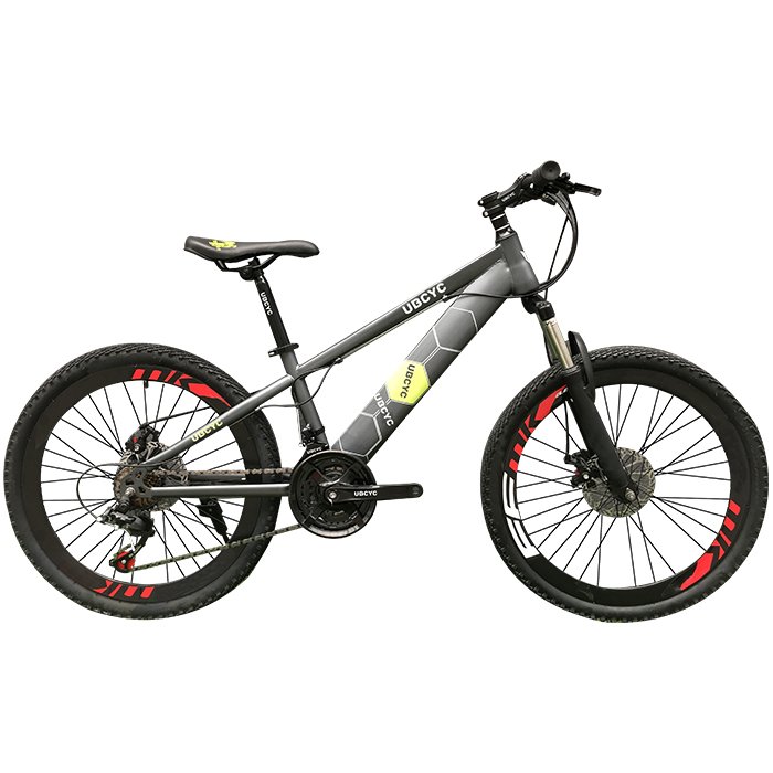 bicicleta mountain bike basikal MTB bicycle 20/24/26 inch bikes 21 speed baik cycle for man