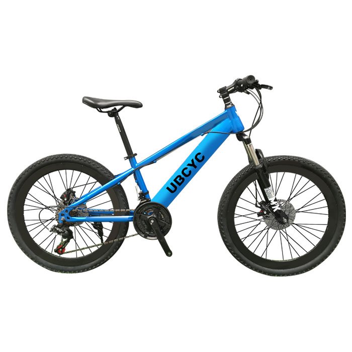 bicicleta mountain bike basikal MTB bicycle 20/24/26 inch bikes 21 speed baik cycle for man