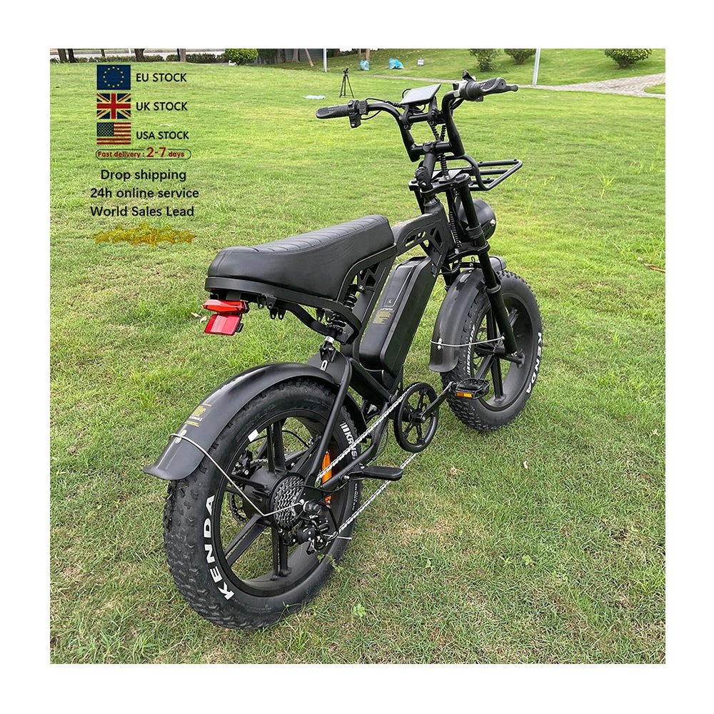 EU US Uk Warehouse Sell Velo Electrique Adults City Off Road Bicycle 250W/500W/1000W Motor 20 Inch Fat Tire Electric E-Bike