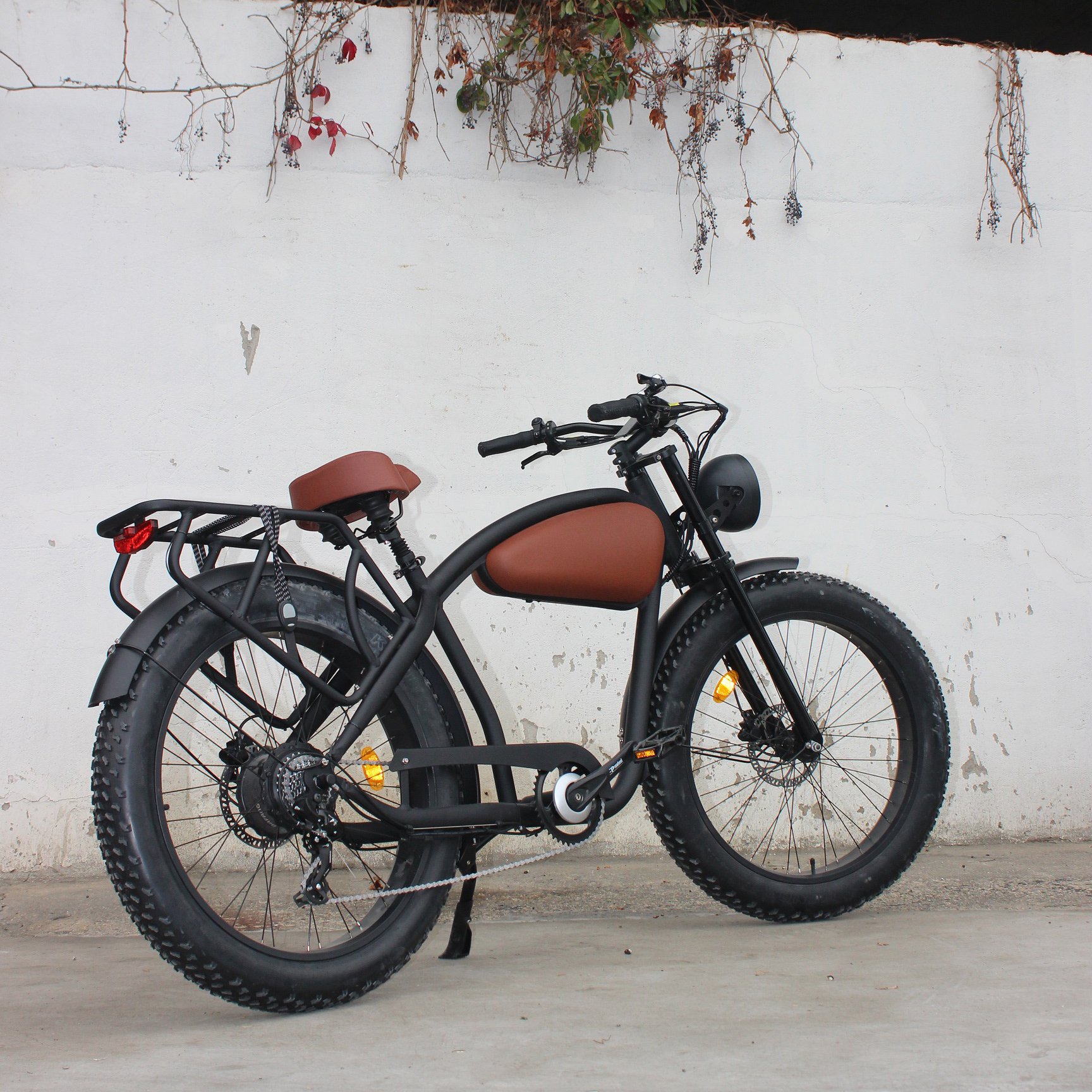 Affordable ebike Lithium Battery Powered Electric Bike 48v 750w Fat Tire urban Electric Bike