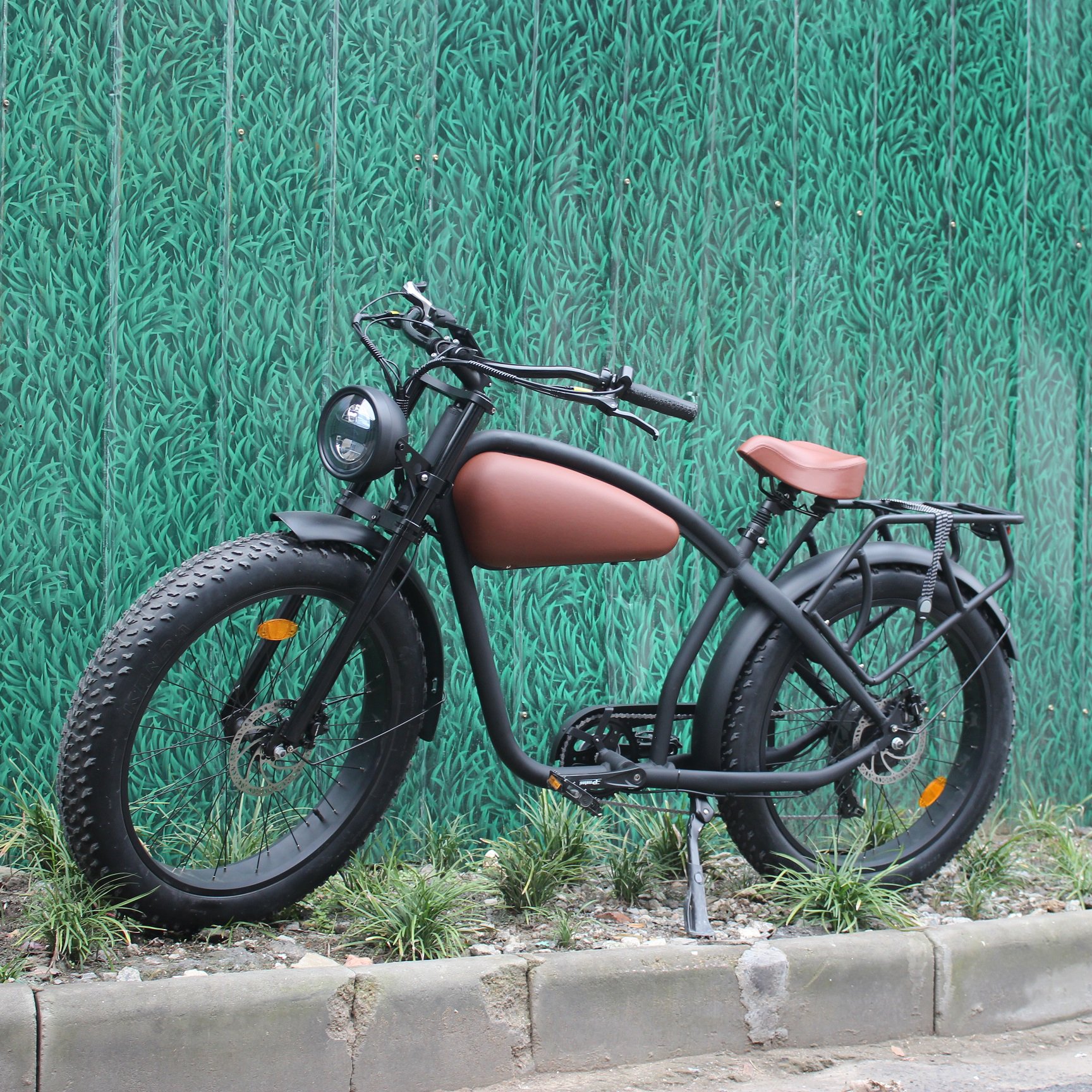 Affordable ebike Lithium Battery Powered Electric Bike 48v 750w Fat Tire urban Electric Bike