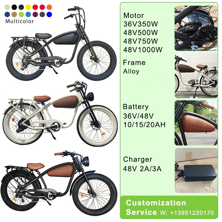 Affordable ebike Lithium Battery Powered Electric Bike 48v 750w Fat Tire urban Electric Bike