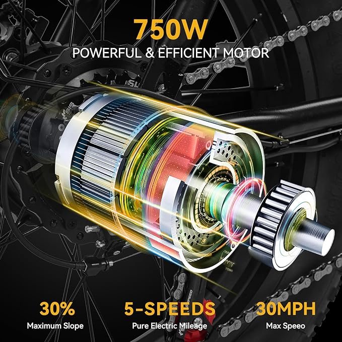 High Performance E21 Electric Mountain Bike 48V 500W Steel Frame Rear Hub Motor Disc Brake 15ah Battery with Rear Carrier