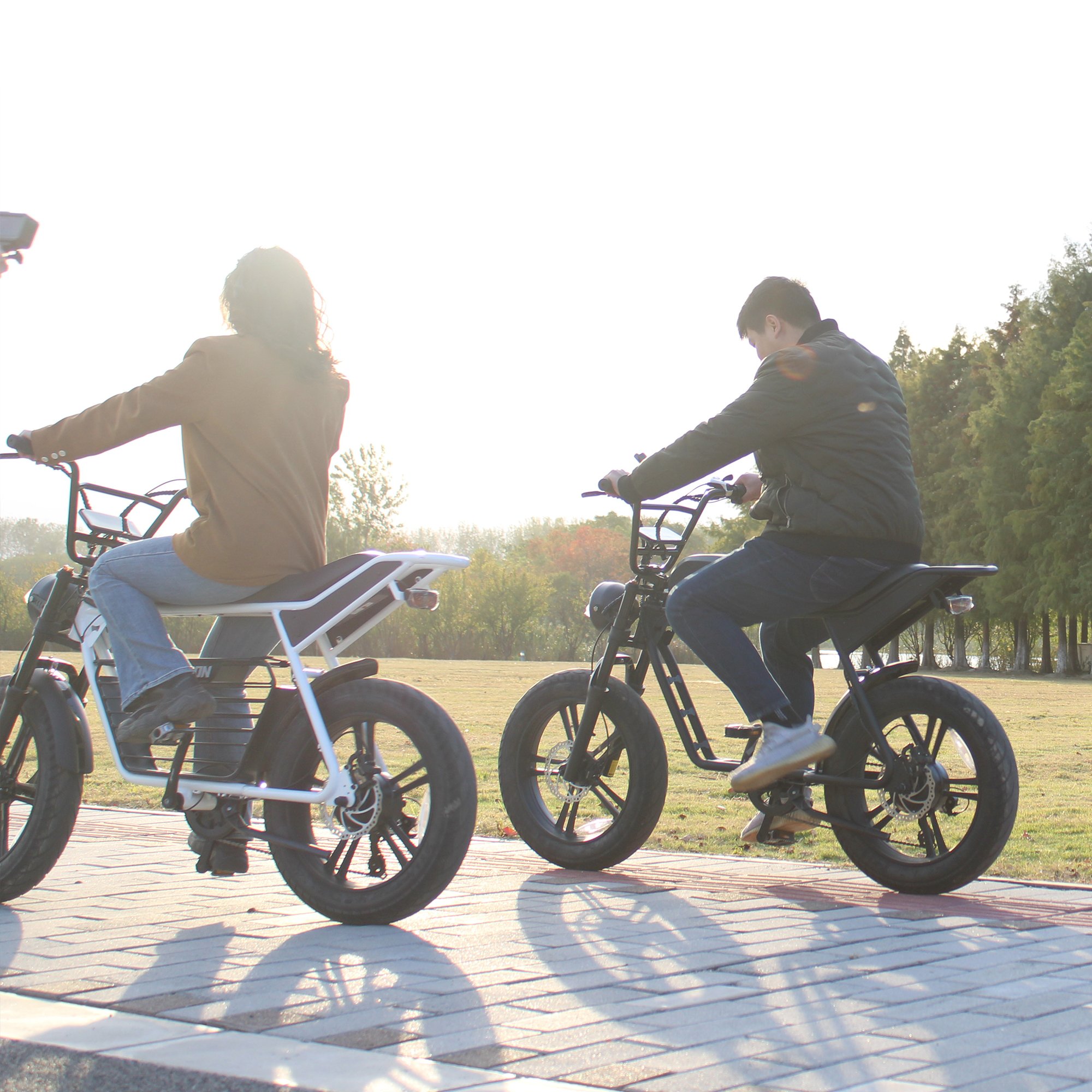 Hot Selling 750w 1000w Motor E-Bike Fat Tire Electric Dirt Bike Bicycles For Adults Mountain Bike