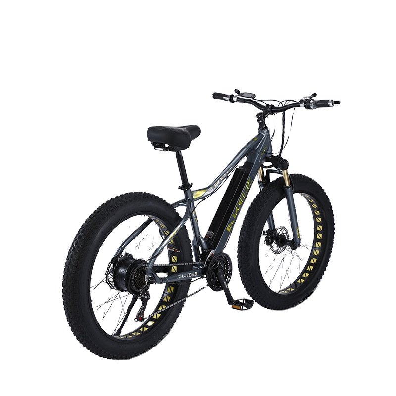 E bike High Power Wholesale Directly Brushless electric city bike 48V 750w Max LED Light OEM Electric Mountain Bike