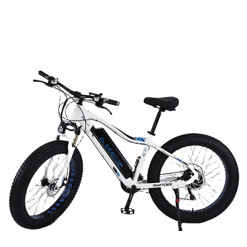 E bike High Power Wholesale Directly Brushless electric city bike 48V 750w Max LED Light OEM Electric Mountain Bike