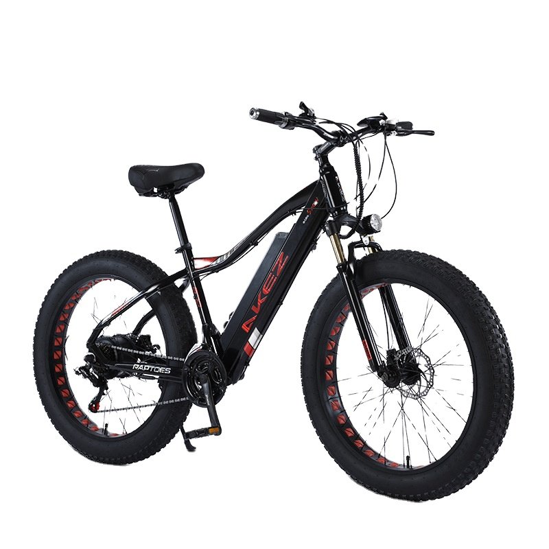 E bike High Power Wholesale Directly Brushless electric city bike 48V 750w Max LED Light OEM Electric Mountain Bike
