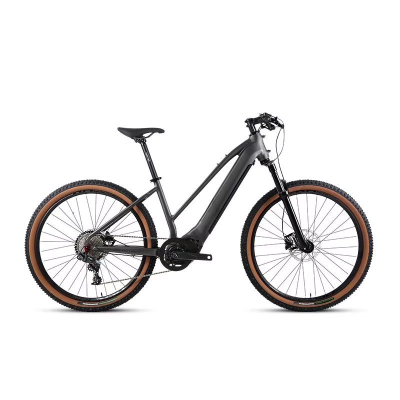ebike 48V hidden battery electric mountain bike 500w 29 inch electric bicycle